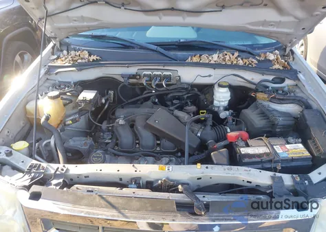 2008 Ford Escape Xlt z USA, uszkodzony, nr VIN 1FMCU93198KB41753